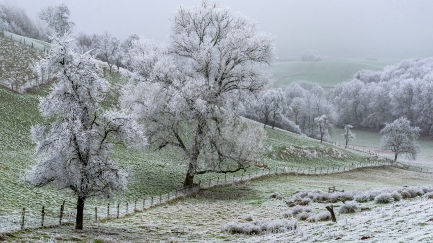 outdoors field winter frost landscape cold trees